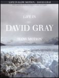 Okadka: Gray David, Life In Slow Motion