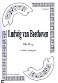 Okładka: Beethoven Ludwig van, Dla Elizy na flet i fortepian