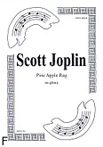 Okadka: Joplin Scott, Pine Apple Rag na gitar