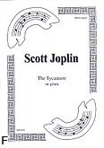 Okadka: Joplin Scott, The Sycamore na gitar