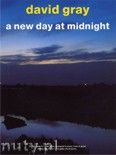 Okładka: Gray David, A New Day At Midnight