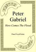 Okadka: Peter Gabriel, Here Comes The Flood